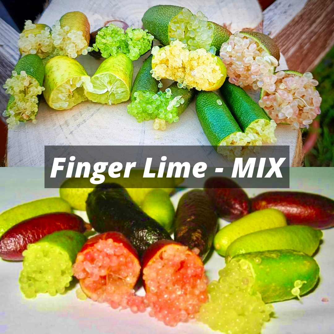 FINGER LIME MIX da 300gr.