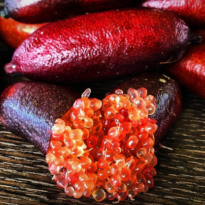 FINGER LIME - ROSSO BS